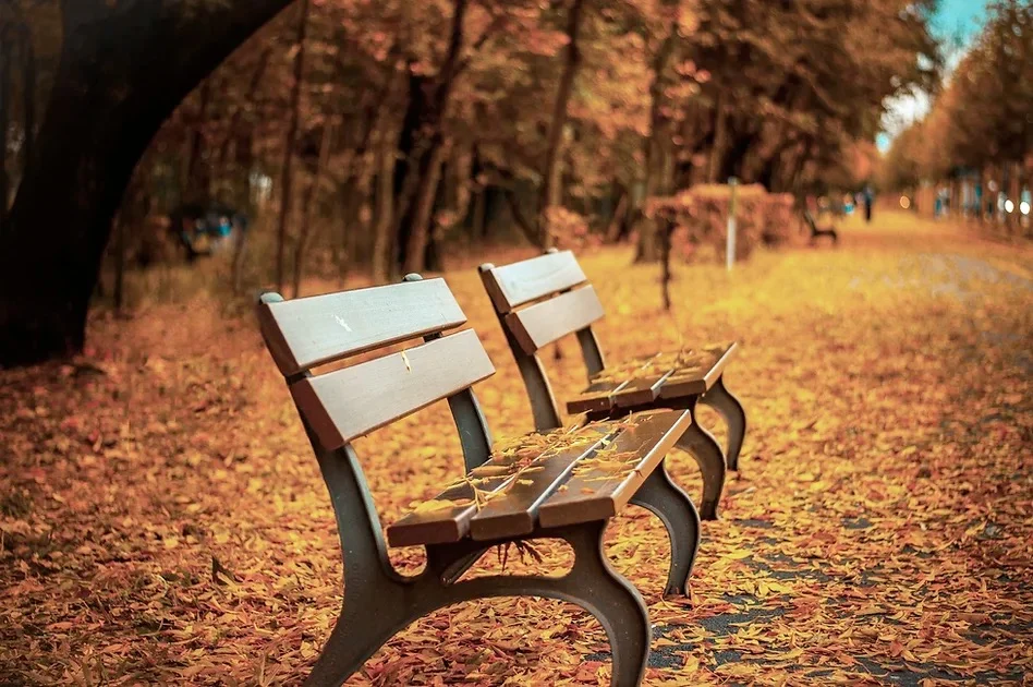 autumn change of seasons