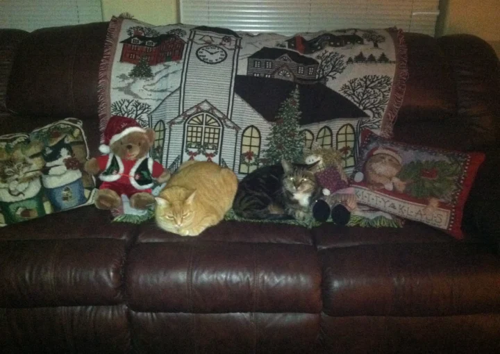 christmas kitties simon tobe .jpeg