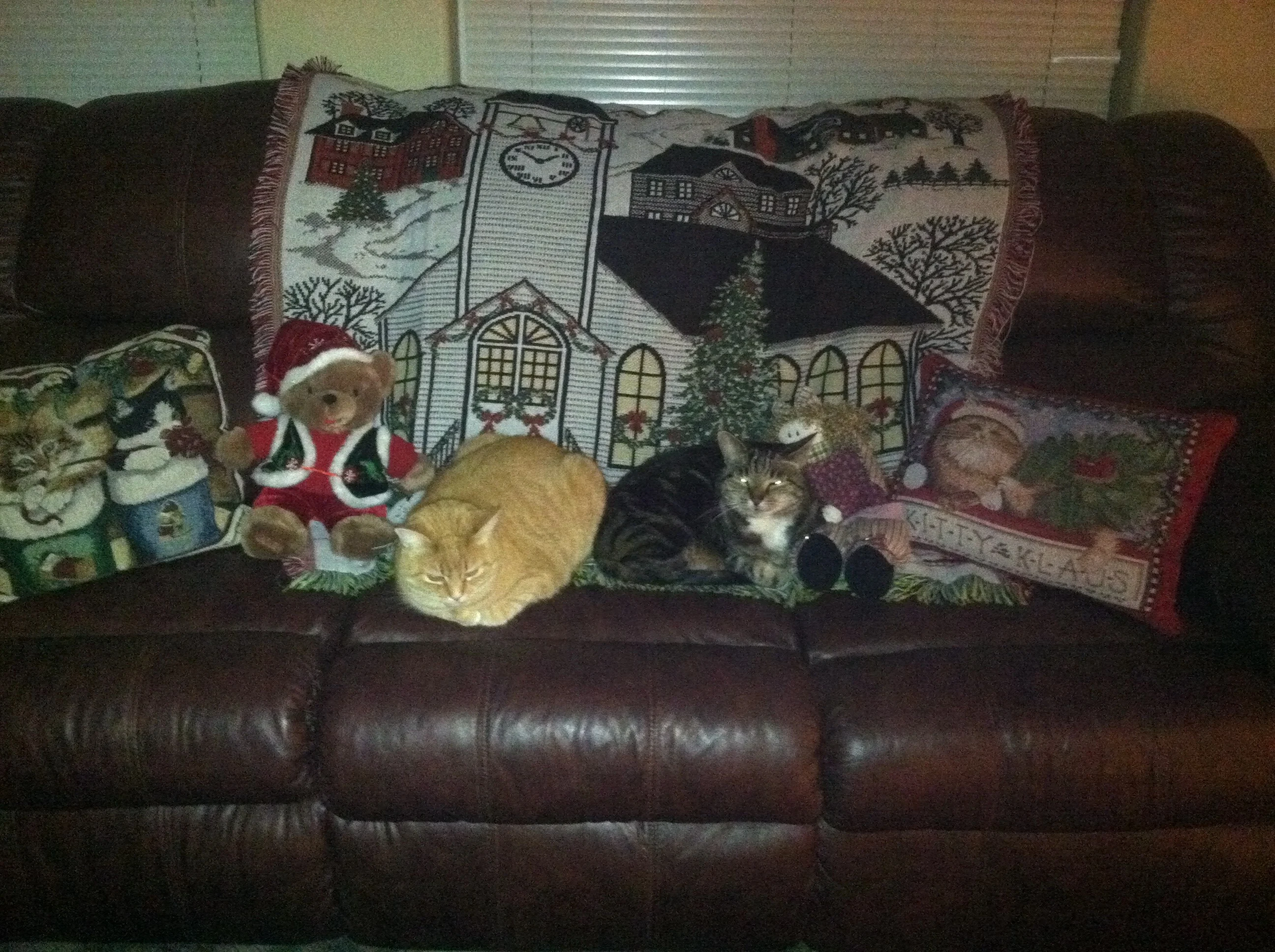 christmas kitties simon tobe .jpeg