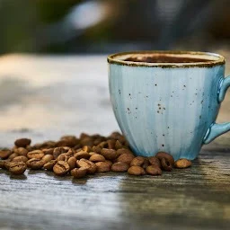 don't spill the beans do your best