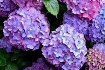 fragrance springtime time out new beginnings