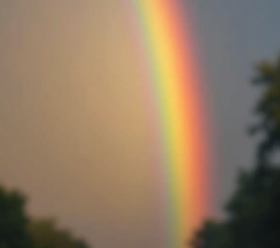 seeing past the problem rainbows end